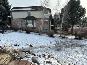 Fallen tree limb lying across snowy lawn in front of brick and siding home after tree removal